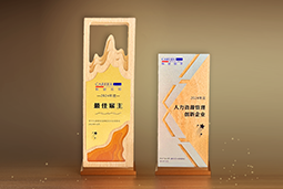 凯发K8国际一举斩获“2024年度中国区最佳雇主”等多项大奖